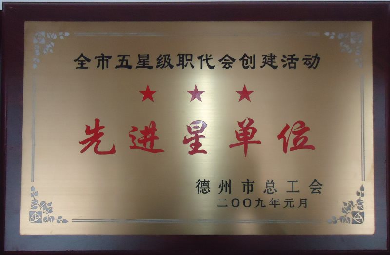 2009年先進星單位