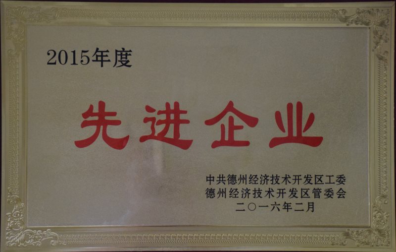 2015年德州開發區先進企業