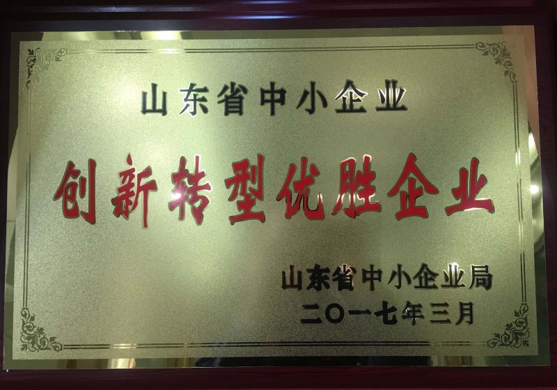 2017年山東省創(chuàng)新轉(zhuǎn)型優(yōu)勝企業(yè)